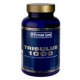 TRIBULUS 1000 - 90 cpr